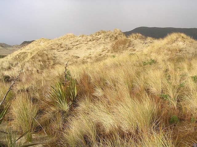 Steward Island 020.jpg